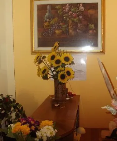 酒店 阿尔伯格安娜酒店