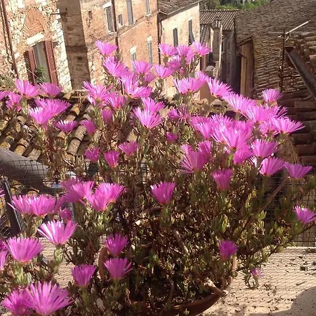 酒店 阿尔伯格安娜酒店 2*