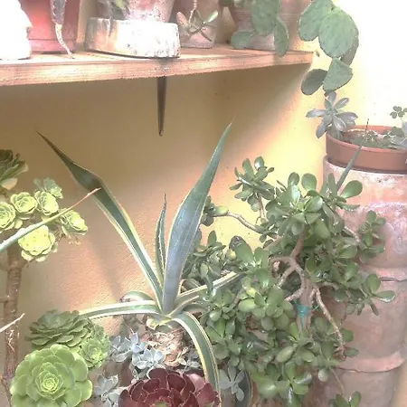 호텔 알베르고 안나 페루자