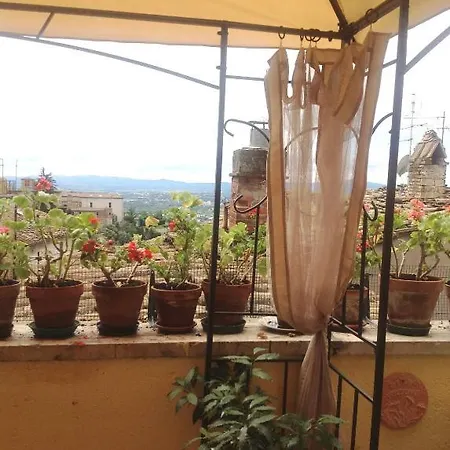 阿尔伯格安娜酒店 酒店 2*