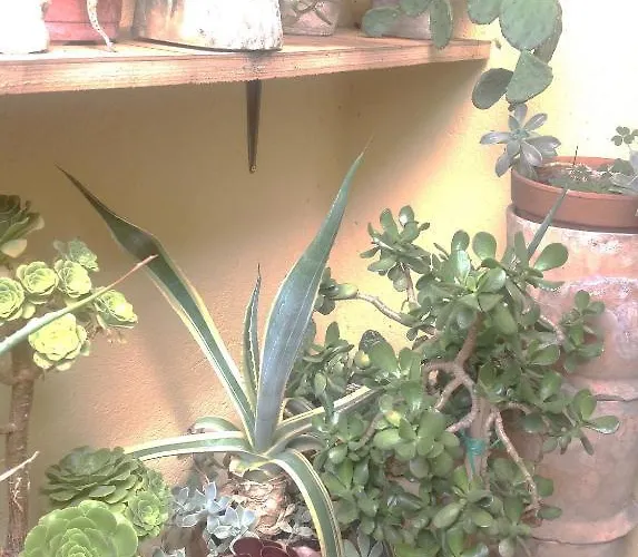 فندق Anna بيرودجا